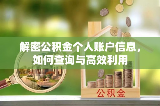 太平解密公积金个人账户信息，如何查询与高效利用